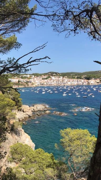 The Golden Oak In Calella Centre - 100M From Beach Palafrugell Exteriör bild